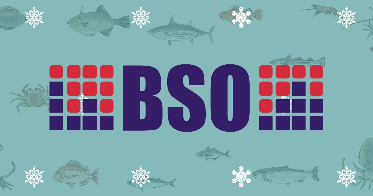 ＢＳＯ株式会社のロゴ