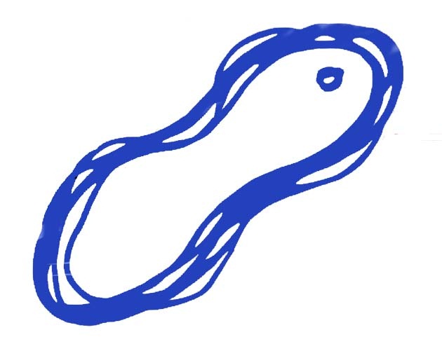 株式会社新中央のアイコン