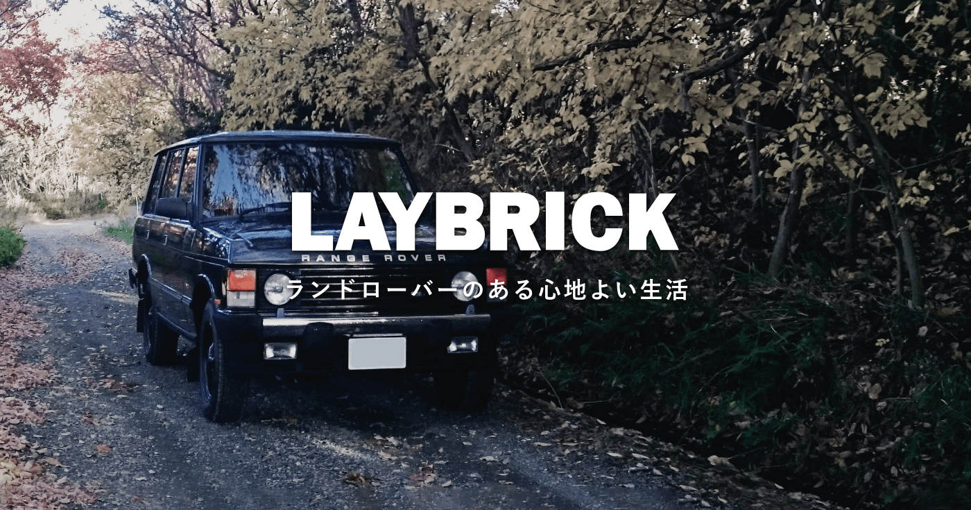 株式会社レイブリックのロゴ