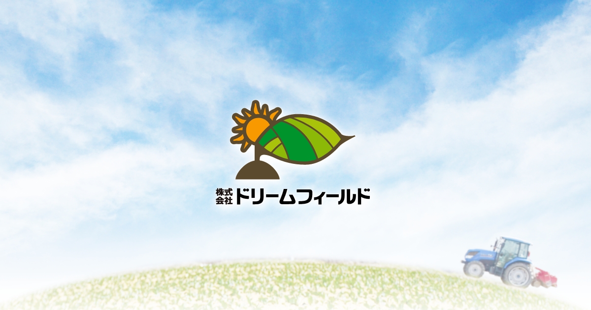 株式会社ドリームフィールドのロゴ