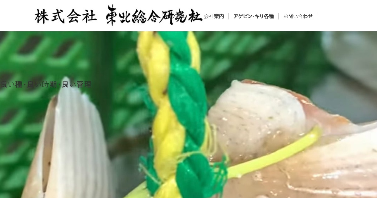 株式会社東北総合研究社のロゴ