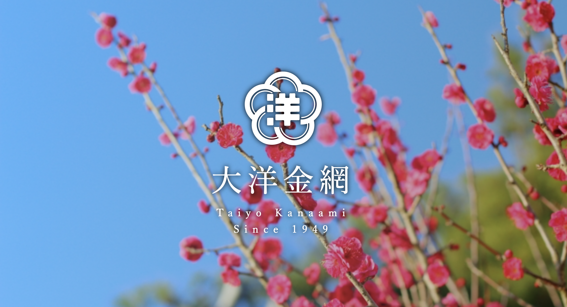 大洋金網株式会社のロゴ