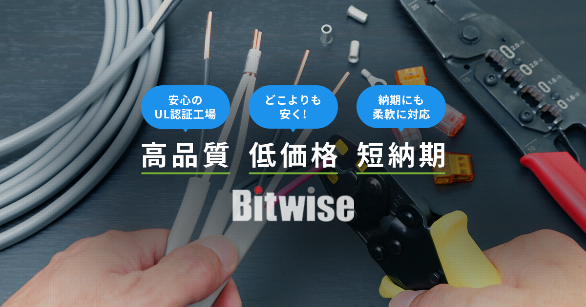 ビットワイズ株式会社のロゴ