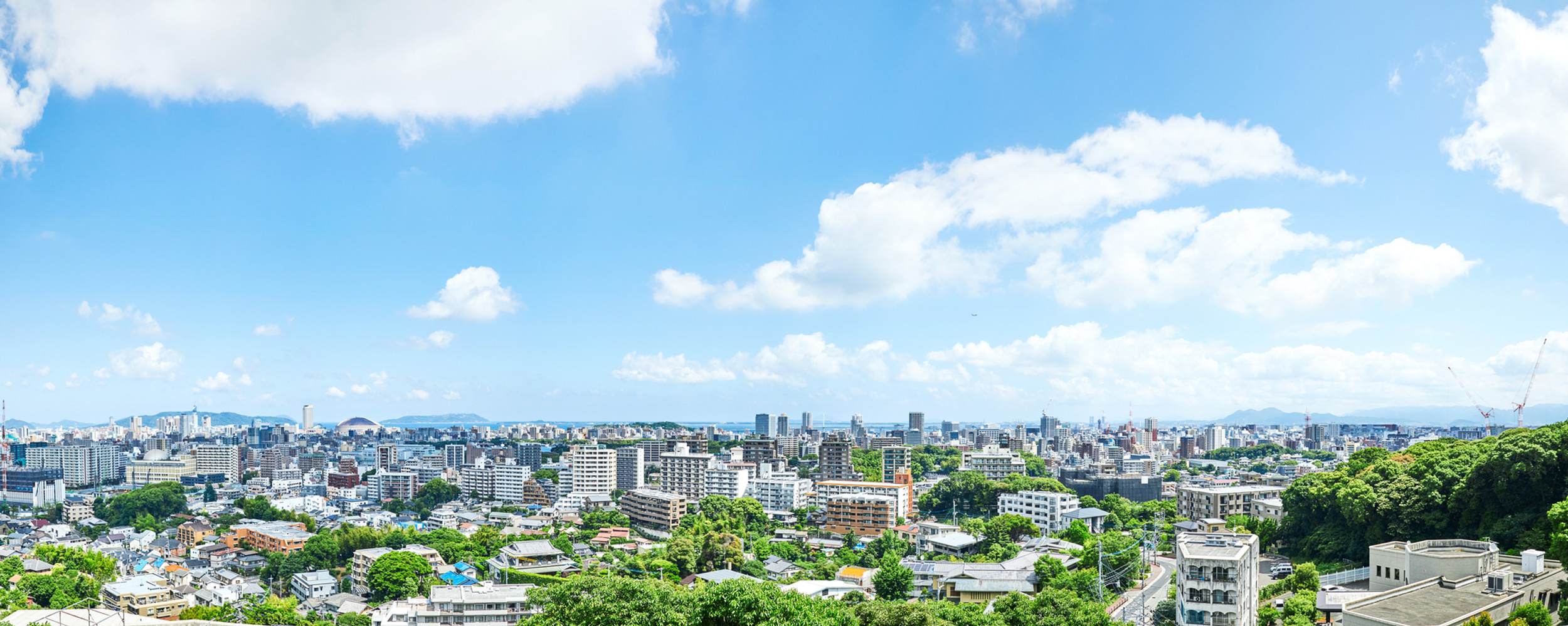 株式会社大地コンサルタントのロゴ