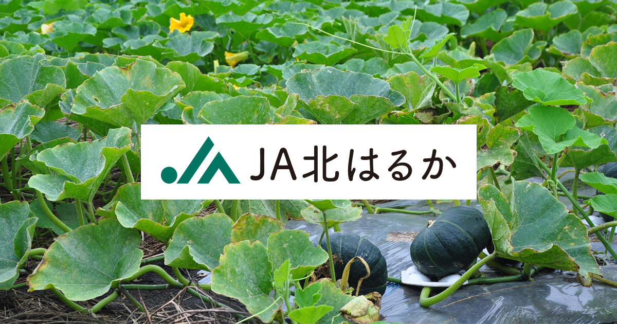 北はるか農業協同組合のロゴ