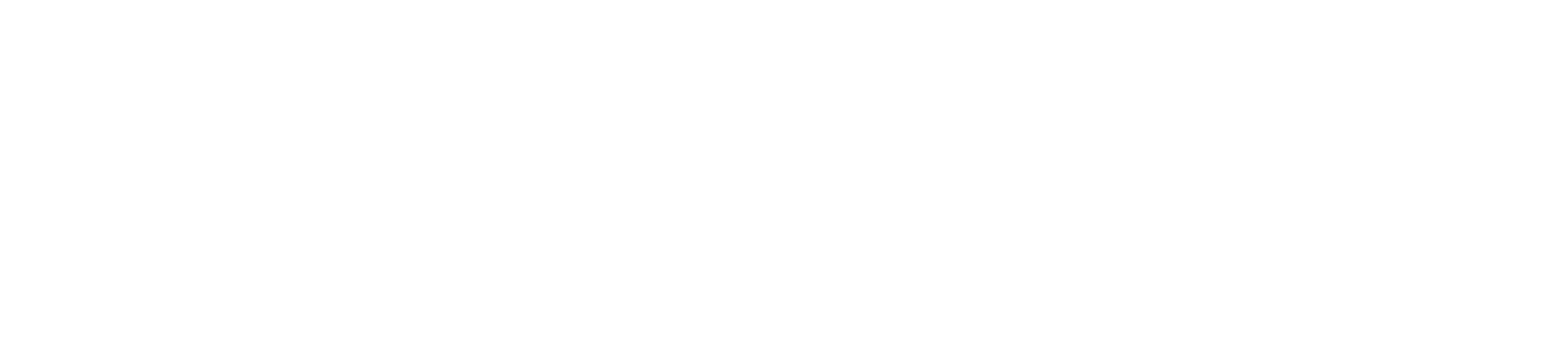 有限会社長澤鉄工所のロゴ