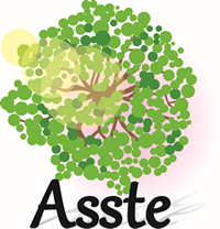 株式会社Ａｓｓｔｅのアイコン