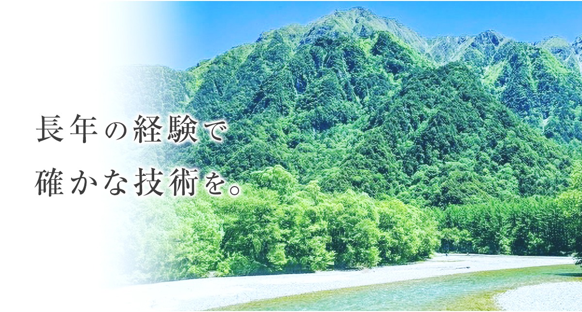 株式会社皿山技型のロゴ