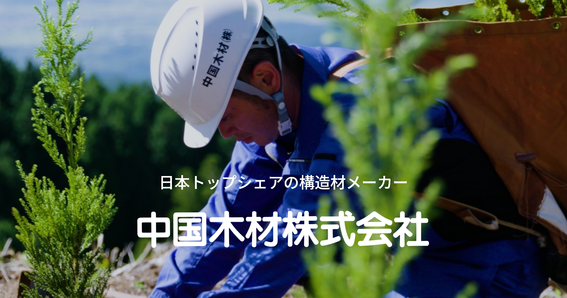 中国木材株式会社のロゴ