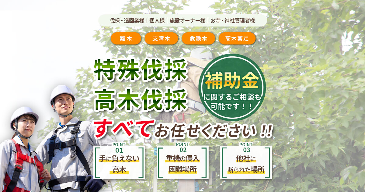 株式会社大杉組のロゴ