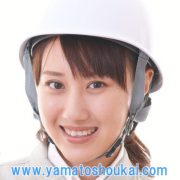 有限会社大和商会.COMのアイコン