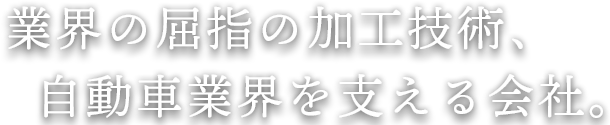 大生電子株式会社のロゴ