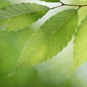 株式会社ソイルファームのアイコン