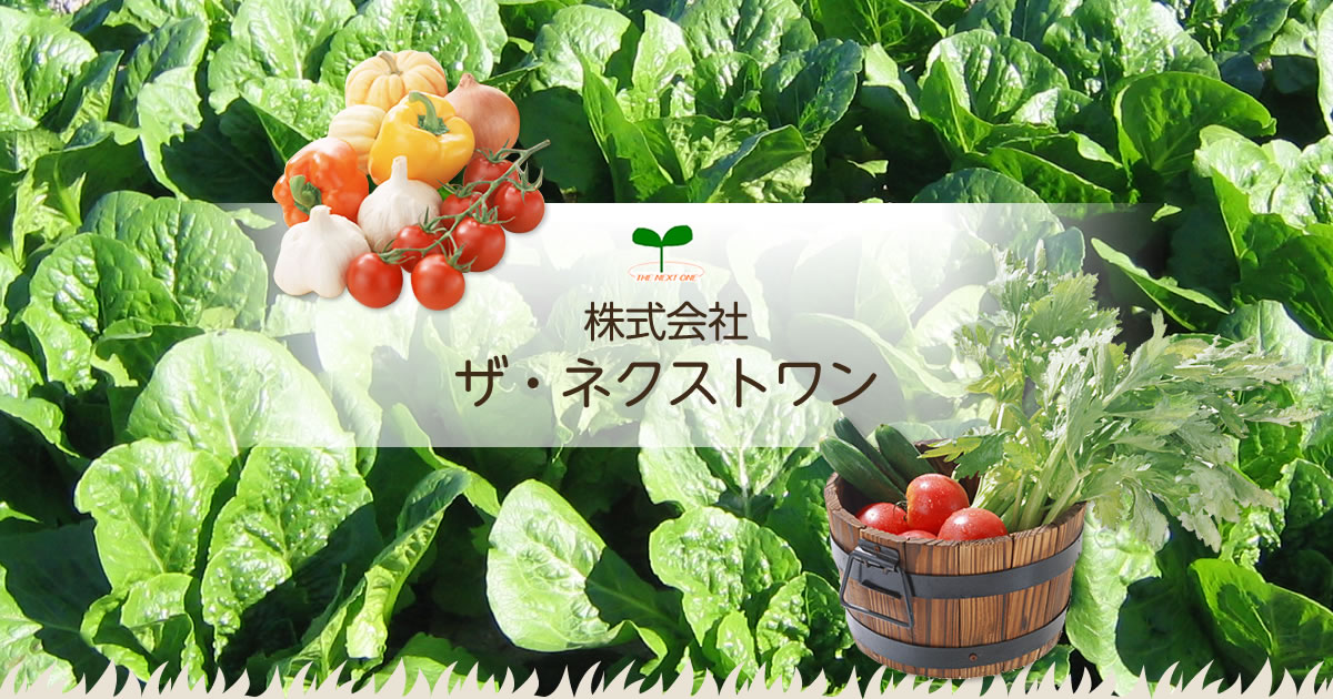 株式会社ザ・ネクストワンのロゴ