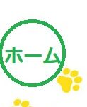株式会社猫の手のロゴ